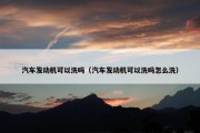 汽车发动机可以洗吗（汽车发动机可以洗吗怎么洗）