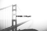 卡车啪啪（卡车ppk）