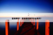 望龙摩托？ 望龙摩托属于什么档次？