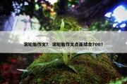 滚轮胎作文？ 滚轮胎作文点面结合700？