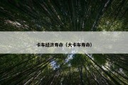 卡车经济寿命（大卡车寿命）