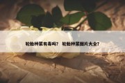 轮胎种菜有毒吗？ 轮胎种菜图片大全？
