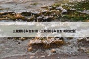 三轮摩托车全封闭（三轮摩托车全封闭驾驶室）