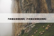 汽车被水淹保险赔吗（汽车被水淹保险给赔吗）