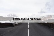 哈弗轮胎（哈弗轮胎气压多少合适）