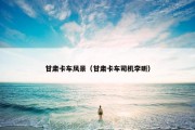 甘肃卡车风景（甘肃卡车司机李昕）
