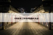 卡车赶羊（卡车羊角图片大全）