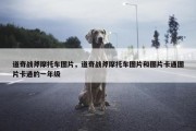 道奇战斧摩托车图片，道奇战斧摩托车图片和图片卡通图片卡通的一年级