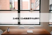 三a轮胎（三a轮胎属于什么牌子）