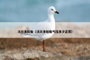 沃兰多轮胎（沃兰多轮胎气压多少正常）