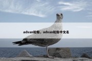 advan轮胎，advan轮胎中文名