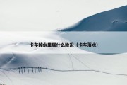 卡车掉水里属什么险况（卡车落水）