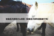 轮胎压力损失什么意思（轮胎压力损失是胎破了吗）