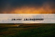 上海二手车？ 上海二手车直卖网官网？