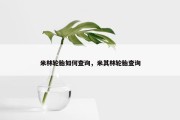 米林轮胎如何查询，米其林轮胎查询