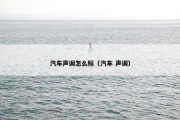 汽车声调怎么标（汽车 声调）