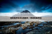 旧轮胎种花怎么做底托（用旧轮胎种花）