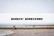 国内奔驰卡车？ 国内奔驰卡车有哪些？