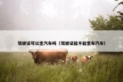 驾驶证可以坐汽车吗（驾驶证能不能坐车汽车）