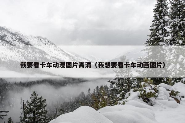 我要看卡车动漫图片高清（我想要看卡车动画图片）
