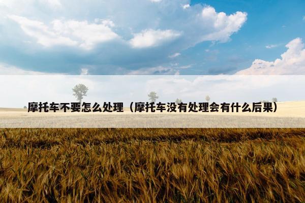 摩托车不要怎么处理（摩托车没有处理会有什么后果）