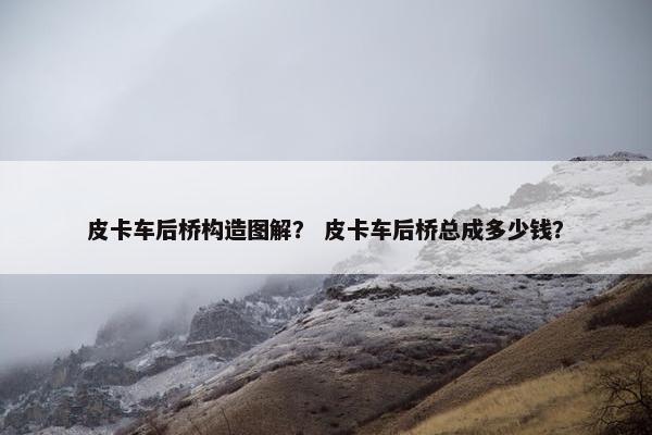 皮卡车后桥构造图解？ 皮卡车后桥总成多少钱？