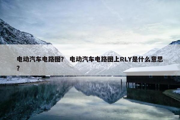 电动汽车电路图？ 电动汽车电路图上RLY是什么意思？