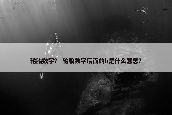 轮胎数字？ 轮胎数字后面的h是什么意思？