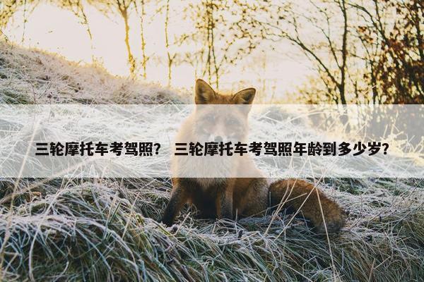 三轮摩托车考驾照？ 三轮摩托车考驾照年龄到多少岁？