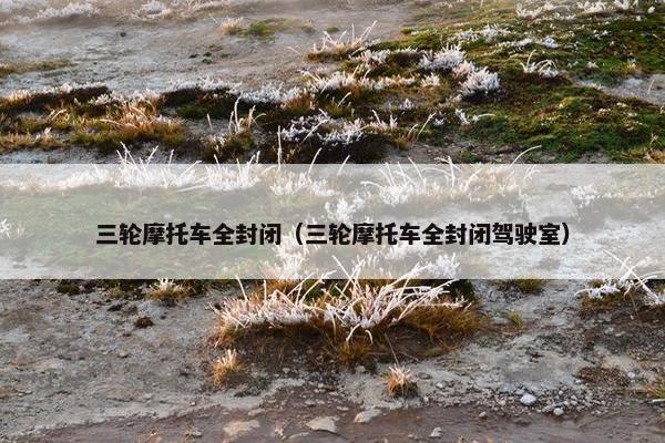 三轮摩托车全封闭（三轮摩托车全封闭驾驶室）