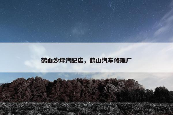 鹤山沙坪汽配店，鹤山汽车修理厂