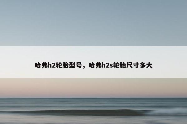 哈弗h2轮胎型号，哈弗h2s轮胎尺寸多大