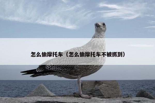 怎么偷摩托车（怎么偷摩托车不被抓到）