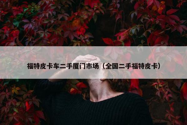 福特皮卡车二手厦门市场（全国二手福特皮卡）