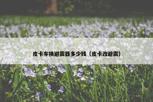 皮卡车换避震器多少钱（皮卡改避震）