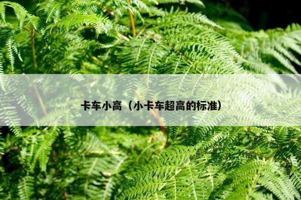 卡车小高（小卡车超高的标准）