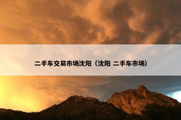二手车交易市场沈阳（沈阳 二手车市场）