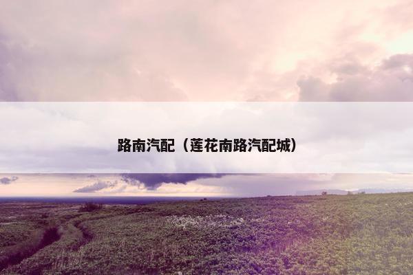 路南汽配（莲花南路汽配城）