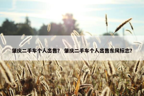 肇庆二手车个人出售？ 肇庆二手车个人出售东风标志？