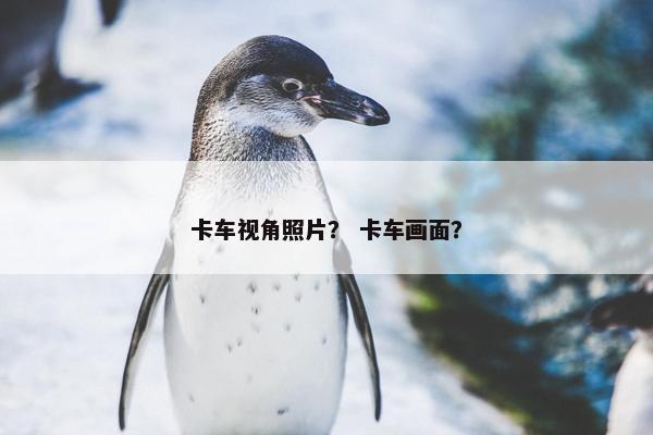 卡车视角照片？ 卡车画面？