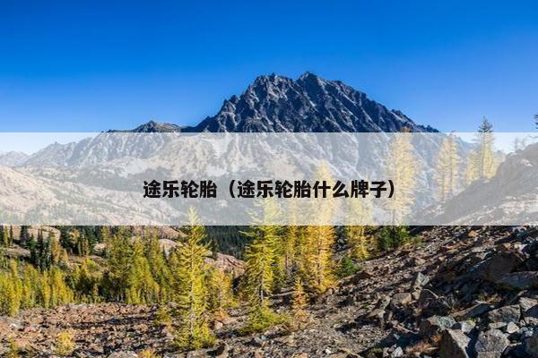 途乐轮胎（途乐轮胎什么牌子）