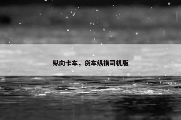 纵向卡车，货车纵横司机版