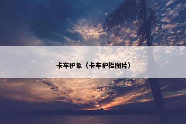 卡车护象（卡车护栏图片）