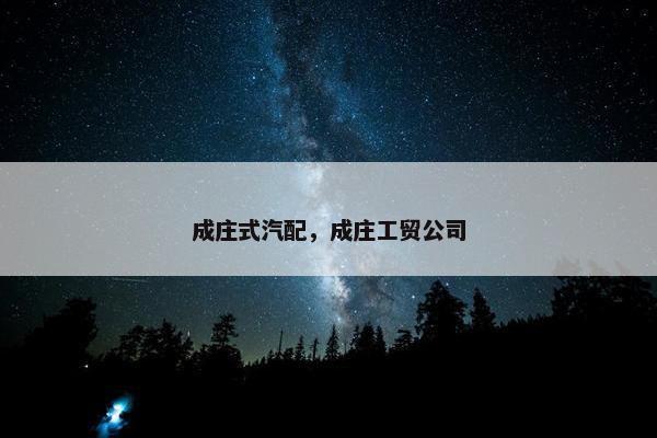 成庄式汽配，成庄工贸公司
