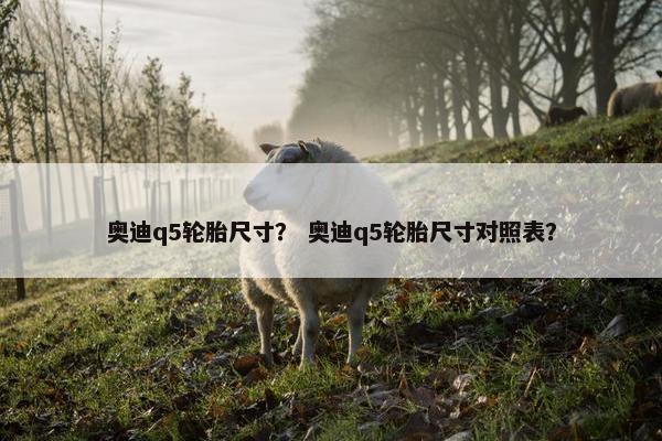 奥迪q5轮胎尺寸？ 奥迪q5轮胎尺寸对照表？