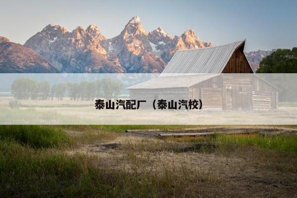泰山汽配厂（泰山汽校）