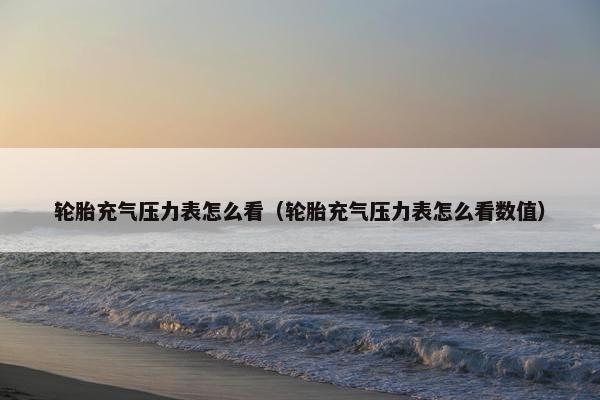轮胎充气压力表怎么看（轮胎充气压力表怎么看数值）