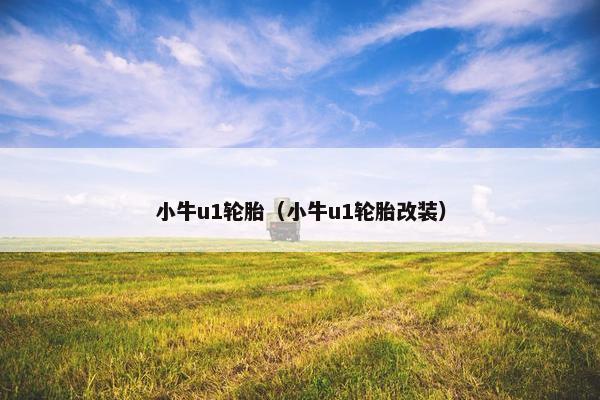 小牛u1轮胎（小牛u1轮胎改装）