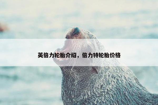 英倍力轮胎介绍，倍力特轮胎价格
