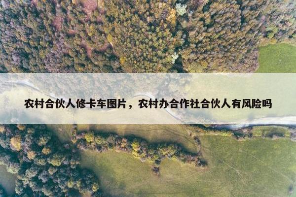 农村合伙人修卡车图片，农村办合作社合伙人有风险吗